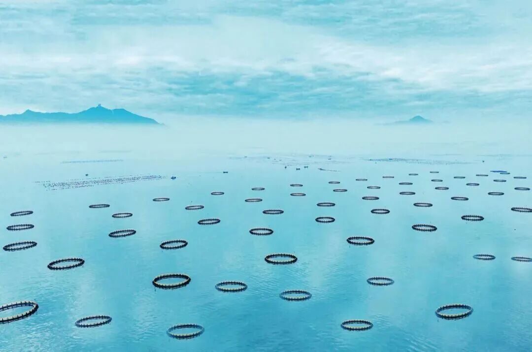 深水网箱智能监控平台