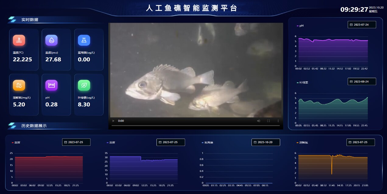Artificial Reef Intelligent Monitoring Platform